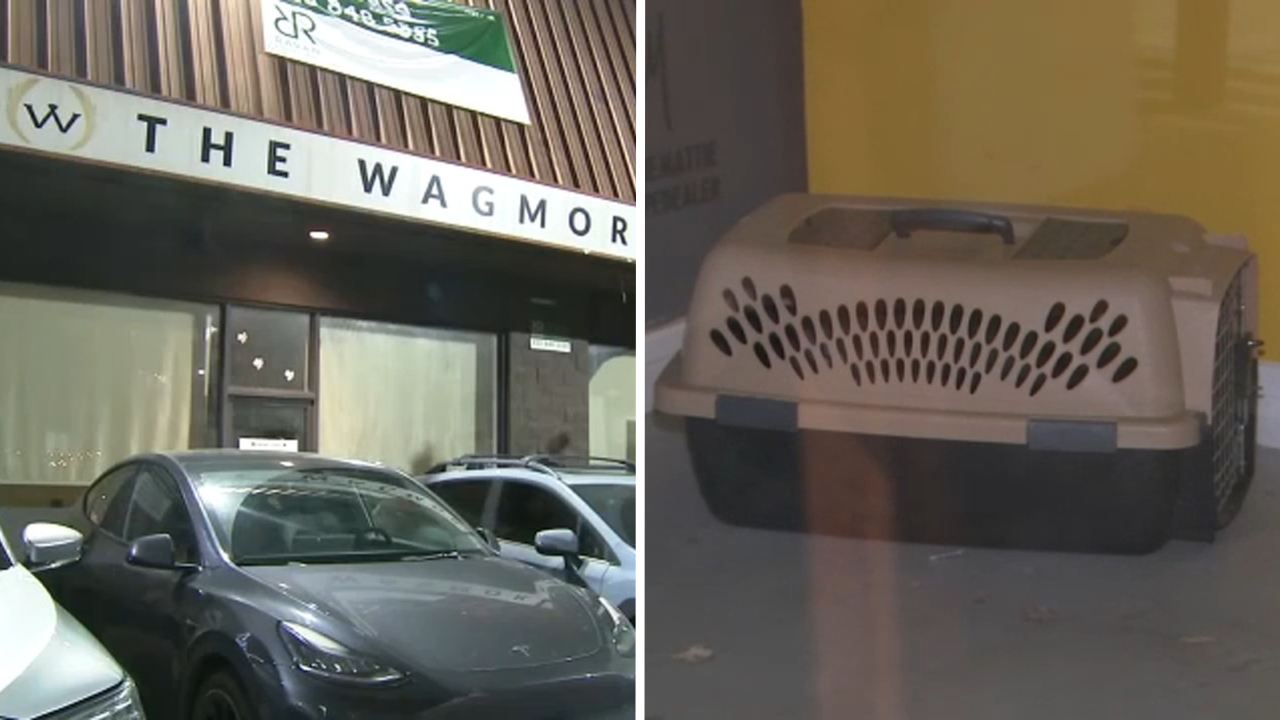 Lawsuit accuses Los Angeles animal rescue of running puppy laundering operation

       — ABC7 Chicago (WLS-TV)