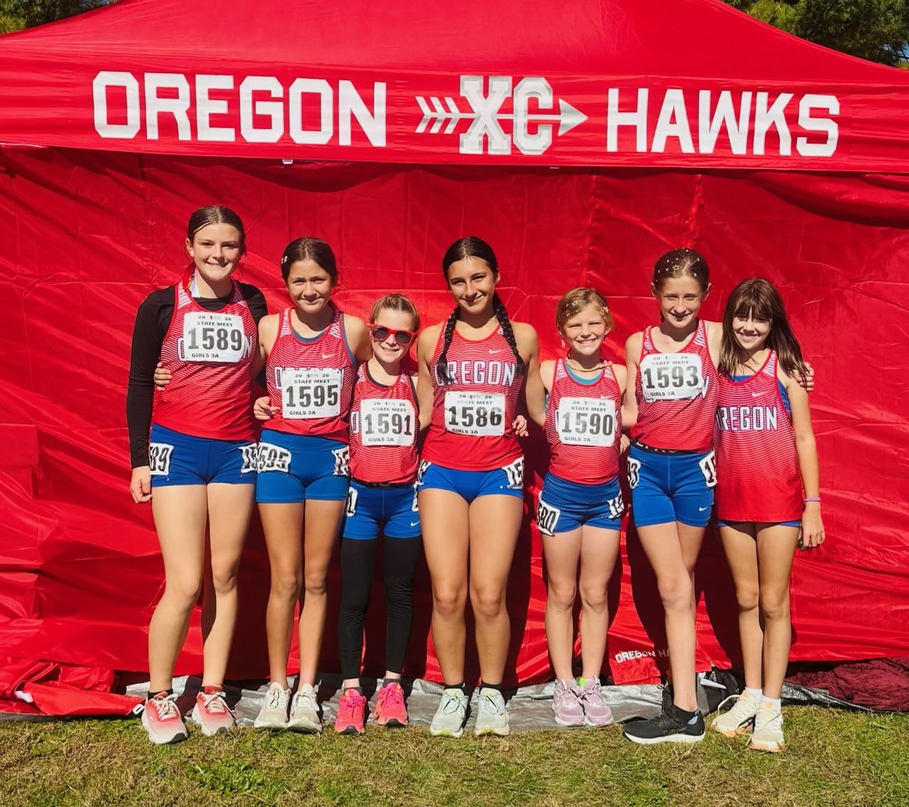 Oregon’s Anaya earns all-state honors, sets school record as Junior XC Hawks debut at state — Buffalo Grove Arts news